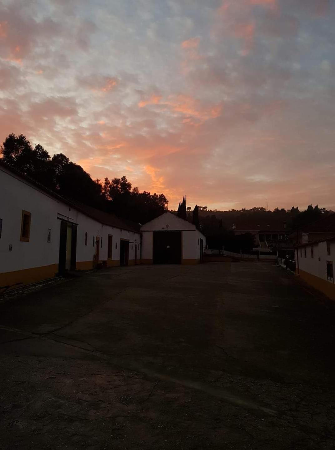 Horse Riding Country House Vila Franca de Xira Exteriör bild