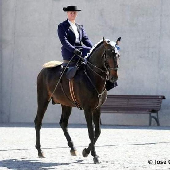 Horse Riding Country House Lägenhet Vila Franca de Xira Exteriör bild