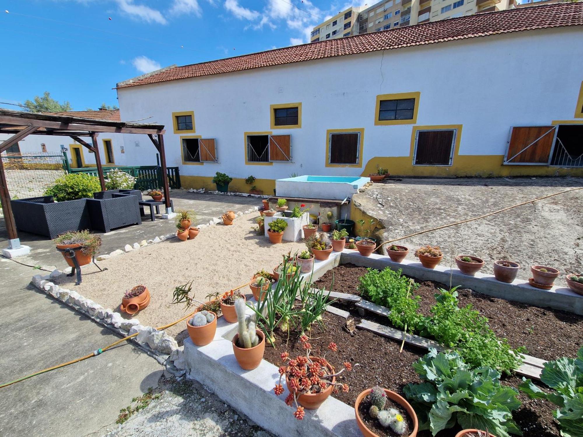Horse Riding Country House Vila Franca de Xira Exteriör bild