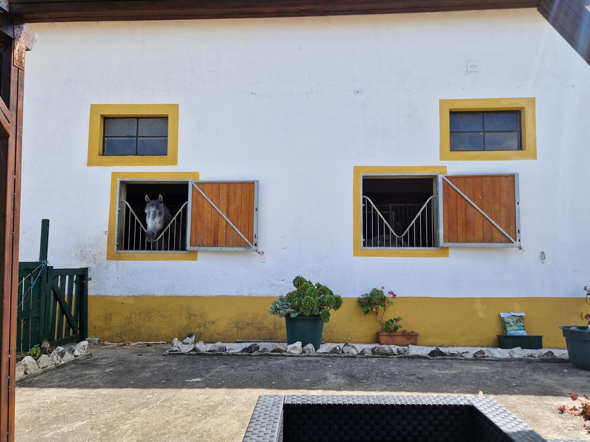 Horse Riding Country House Vila Franca de Xira Exteriör bild