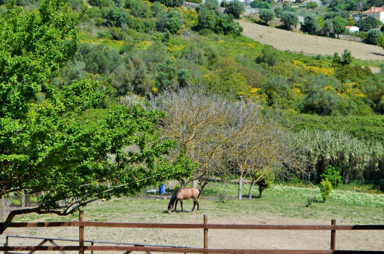 Horse Riding Country House Lägenhet Vila Franca de Xira Exteriör bild