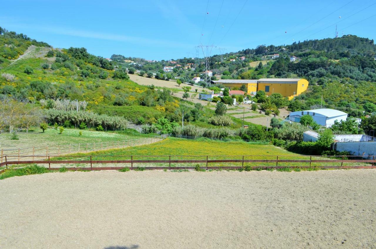 Horse Riding Country House Vila Franca de Xira Exteriör bild